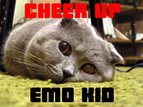File:Emo kitty.jpg