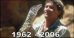 File:RIP Steve Irwin.png