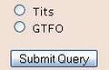 Tits or gtfo submit query.jpg